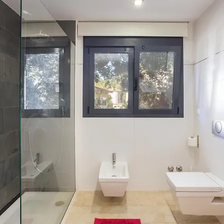 Mountain View * Bárig