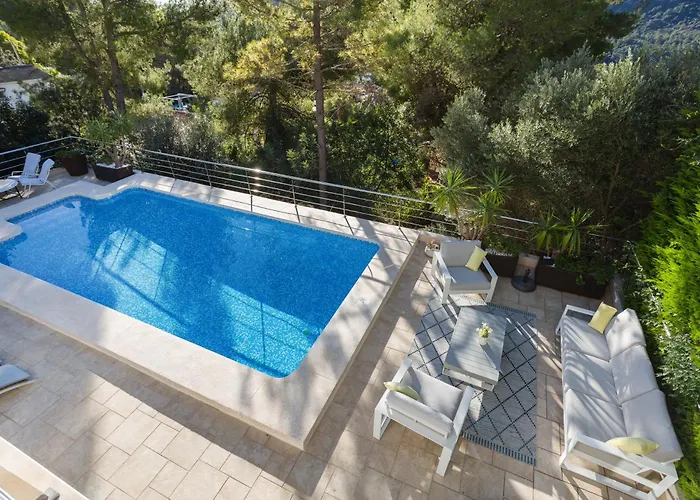 Mountain View * Bárig